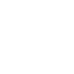 Box icon