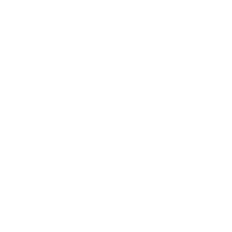 Easyship icon