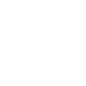Easyship icon