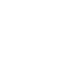 Eventbrite icon