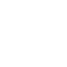 FireText icon