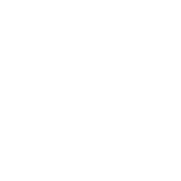 Google calendar icon