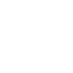 Google drive icon