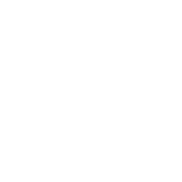 Google Forms icon