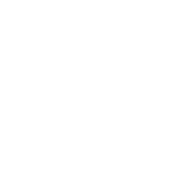 Lob icon