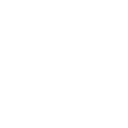 Microsoft Excel icon