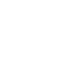 Notion icon