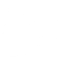 Paypal icon