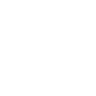 Paypal icon