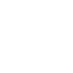 PDFMonkey icon