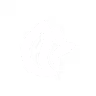 RegFox icon