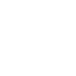 RingCentral icon