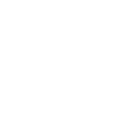 Shopify icon