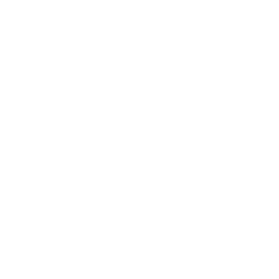 Shopify icon