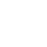 Shopify icon