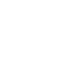 Smartsheet icon