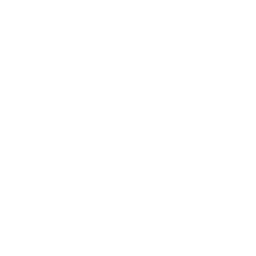Ícone do Spotify