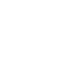 Square icon