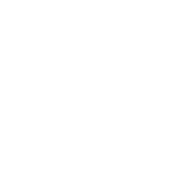 Ícone do Squarespace