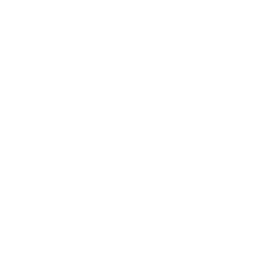Stripe icon