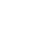 Vimeo icon