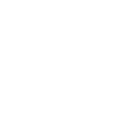Webflow icon