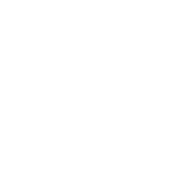 WooCommerce icon