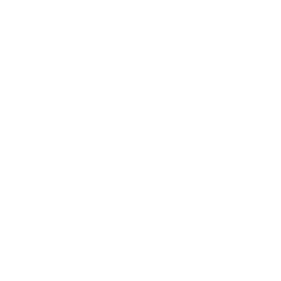 Wrike icon