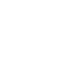 Icône Zendesk