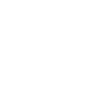 Zoom icon