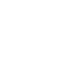 Icône Zoom